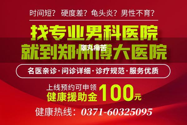 右边的睾丸疼怎样调节_睾丸痛苦如何缓解