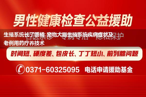 生殖系统长了饭桶_宠物犬猫生殖系统疾病症状及老例用药疗养技术