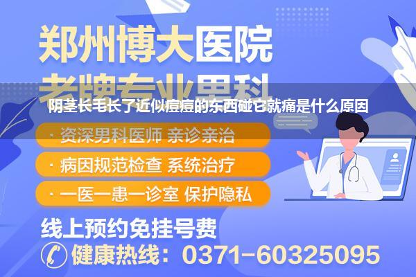 阴茎长毛长了近似痘痘的东西碰它就痛是什么原因